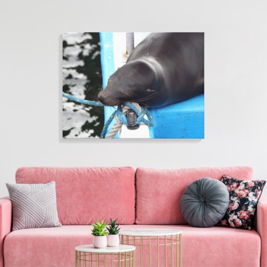 Snoozing Galapagos Zee Lion Canvas Afdruk (Insitu (Woonkamer))