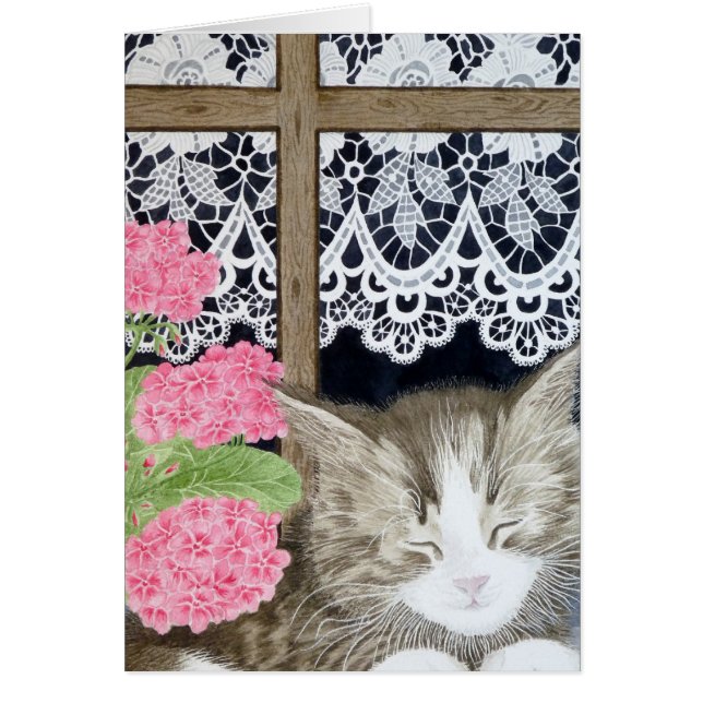 Snoozing in de zon (Voorkant)