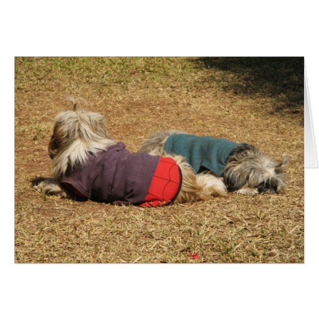 Snoozing in Nong Khai (Voorkant Horizontaal)