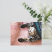Snoozing Kitten Briefkaart (Staand voorkant)
