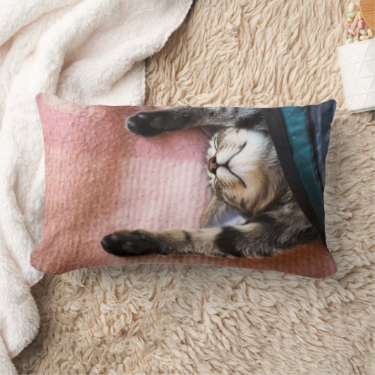 Snoozing Kitten Kussen (Deken)