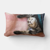 Snoozing Kitten Kussen (Voorkant)