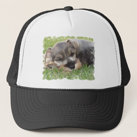 Snoozing Schnauzer Baseball Hat Trucker Pet (Voorkant)