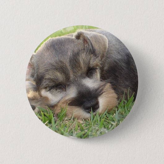 Snoozing Schnauzer-Button Ronde Button 5,7 Cm (Voorkant)