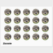 Snoozing Schnauzer Sticker (Vel)