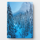 Snoqualmie Pass, staat Washington. Fotoplaat (voorkant)