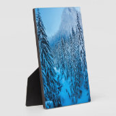 Snoqualmie Pass, staat Washington. Fotoplaat (Zijkant)