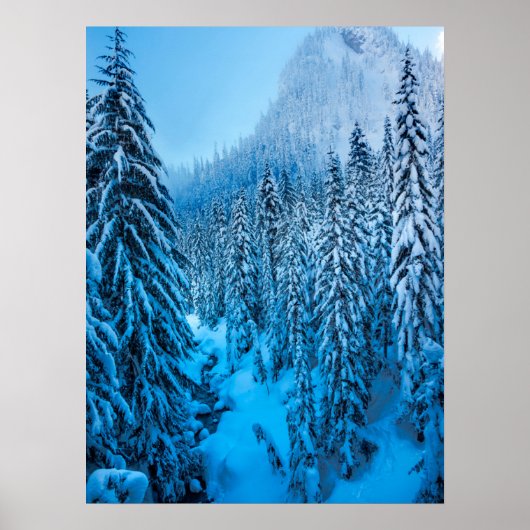 Snoqualmie Pass, staat Washington. Poster (Voorkant)