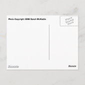 snorkelen briefkaart (Achterkant)