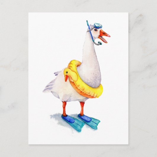 Snorkeling White Goose Briefkaart (Voorkant)