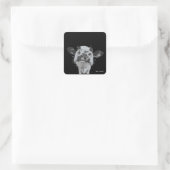 Snotneus, Dier Vierkante Sticker (Tas)