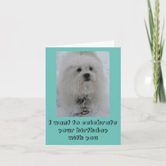 Snow Angels Coton Funny Birthday Card Kaart