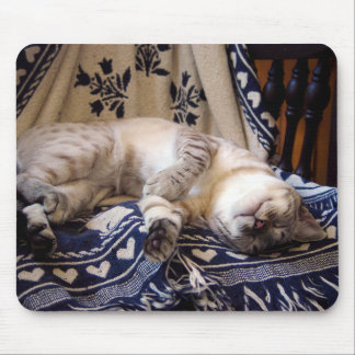 Snow Bengal op Rocker Muismat