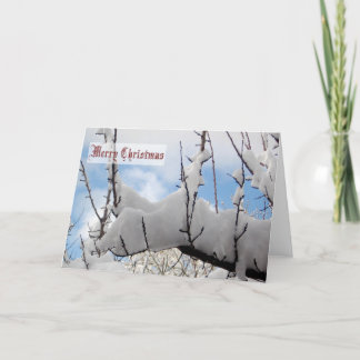 Snow Branch Christmas Card Feestdagen Kaart