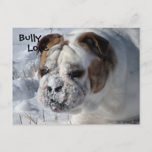 Snow Bully - English Bulldog Briefkaart