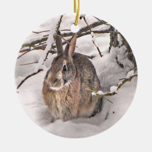 Snow Bunny-kerstversiering Keramisch Ornament (Voorkant)