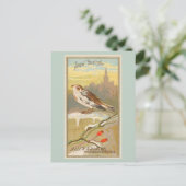 Snow Bunting Briefkaart (Staand voorkant)