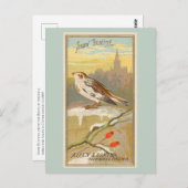 Snow Bunting Briefkaart (Voorkant / Achterkant)