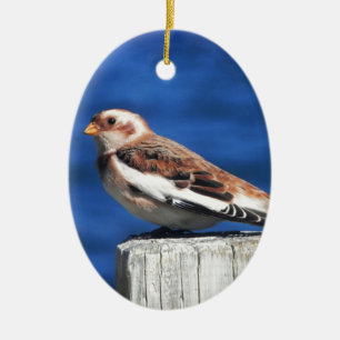 Snow Bunting Keramisch Ornament
