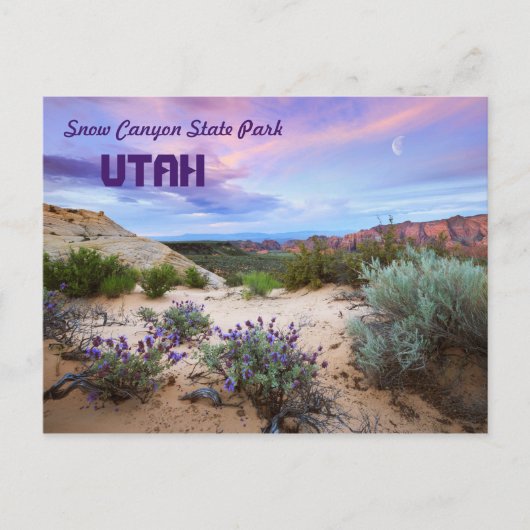 Snow Canyon State Park Utah Briefkaart (Voorkant)