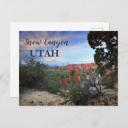 Snow Canyon Utah Wildbloemen Briefkaart (Voorkant / Achterkant)