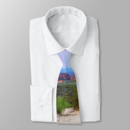 Snow Canyon Utah Wildbloemen Stropdas (Gebonden)