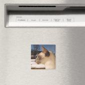 Snow Cat - Siamees Blauw Punt Profiel Magneet (Insitu (Vaatwasser))