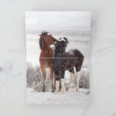 Snow Colts Greeting Card (Binnen)