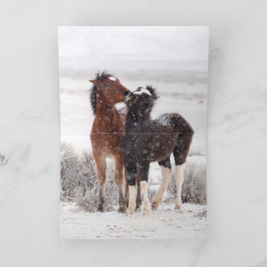 Snow Colts Greeting Card (Binnen)