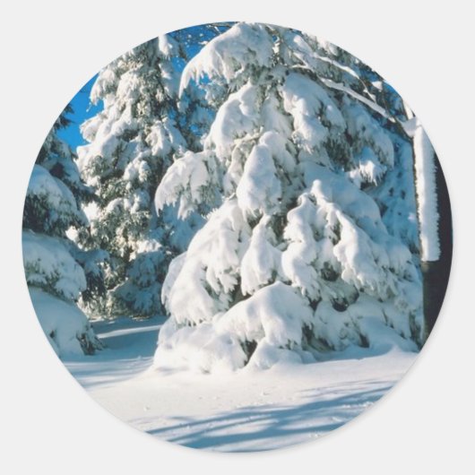 Snow Covered Evergreens Ronde Sticker (Voorkant)