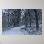 Snow Covered Hiking Trail 1 Poster (Voorkant)