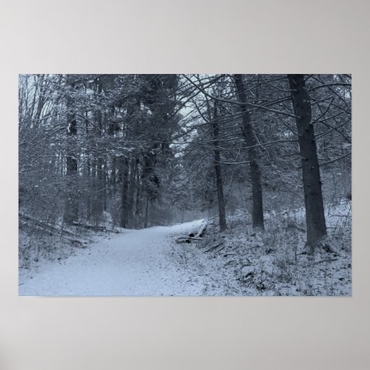 Snow Covered Hiking Trail 1 Poster (Voorkant)