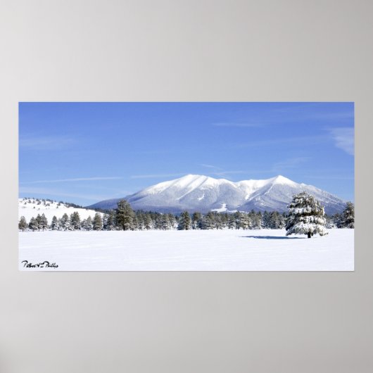 Snow Covered Prairie & San Francisco Peaks Arizona Poster (Voorkant)