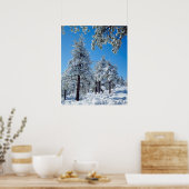 Snow-covered trees in the Laguna Mountains Poster (Keuken)