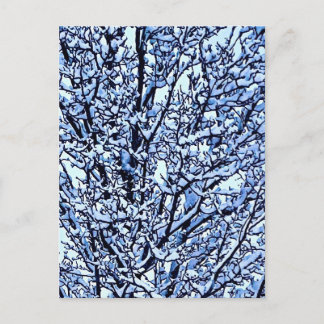 Snow Covered Winter Tree Branches Photo Briefkaart