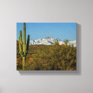 Snow Covertains Saguaro Cactus Arizona USA Canvas Afdruk