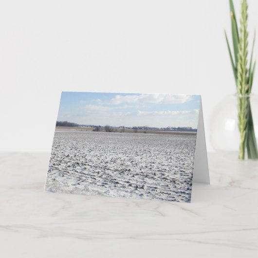 Snow Crop kerstkaart Feestdagen Kaart (Voorkant)