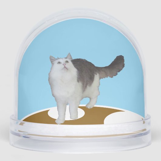 Snow Globe - Cat Looking Up (Avant)