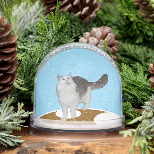 Snow Globe - Cat Looking Up (Hiver)