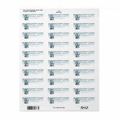 Snow Globe Return Address Labels (Full Sheet)