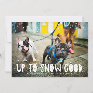 Snow Good   Carte de Noël pour animaux de compagni