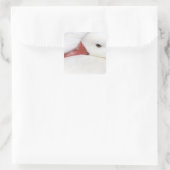 Snow Goose Chen caerulescens Vierkante Sticker (Tas)