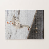 Snow Goose Strut Legpuzzel (Horizontaal)