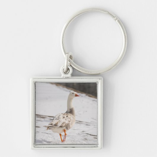 Snow Goose Strut Sleutelhanger (Voorkant)