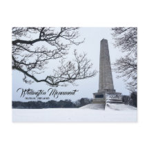 Snow in Phoenix Park, Dublin, Ierland