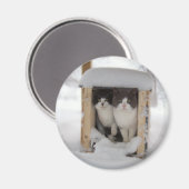Snow Kittens Magneet (Voorkant / Achterkant)
