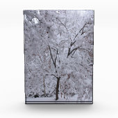 Snow-Laden-bomen Fotoblokken (Voorkant)