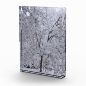 Snow-Laden-bomen Fotoblokken (Rechts)