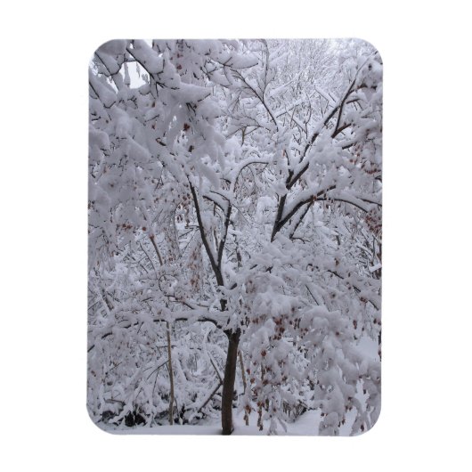 Snow-Laden-bomen Magneet (Verticaal)