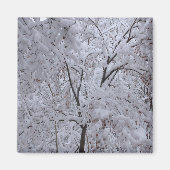 Snow-Laden Trees Magneet (Voorkant)